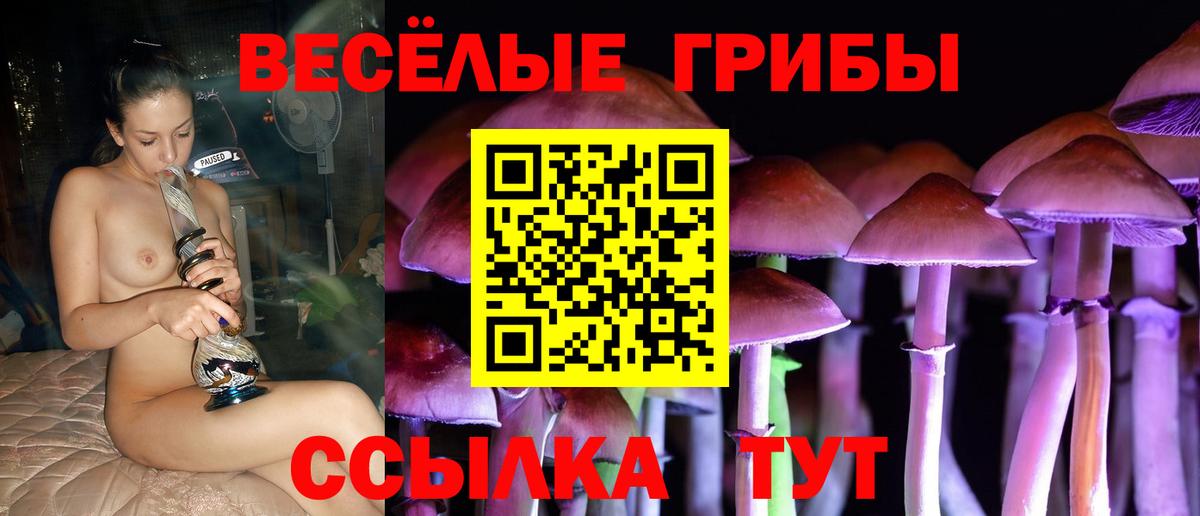 Выкса  Псилоцибиновые грибы GOLDEN TEACHER  Вход с VPN 